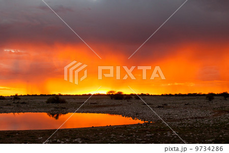 Picturesque scene of Etosha national park over sunset 9734286