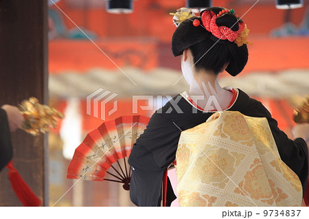 舞妓後姿 9734837