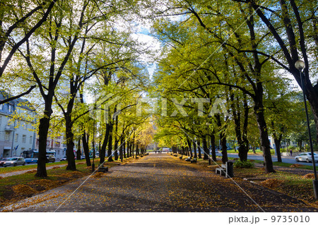 Pathway through the autumn park 9735010