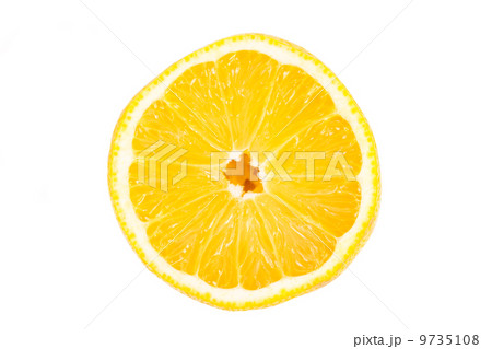 Slice of lemon fruit isolated Slice of lemon fruit isolated 9735108