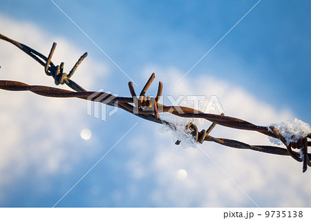 barbed wire in the snowy meadows 9735138