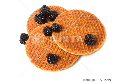Plate of delicious waffles and blackberries Plate of delicious waffles and blackberries 9735491