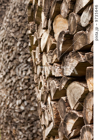 Stacked Logs, natural background Stacked Logs, natural background 9735646