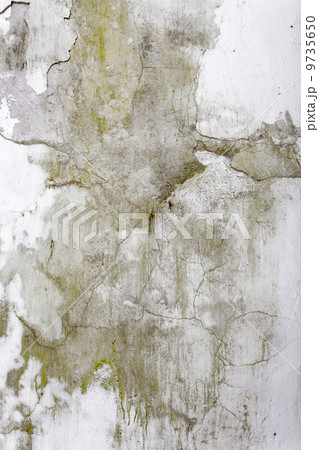 Old wall texture 9735650