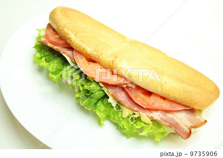 パニーニ 9735906