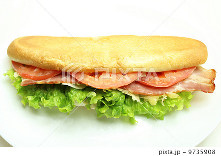 パニーニ 9735908