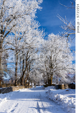 Winter road running between the frozen trees. Winter road running between the frozen trees. 9735954