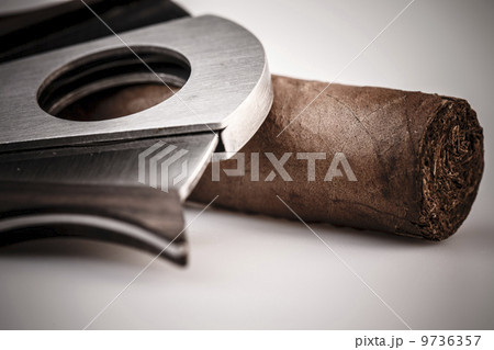 Cigar and cutter on a white background 9736357