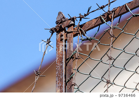 Rusty old fences of barb wire 9736466
