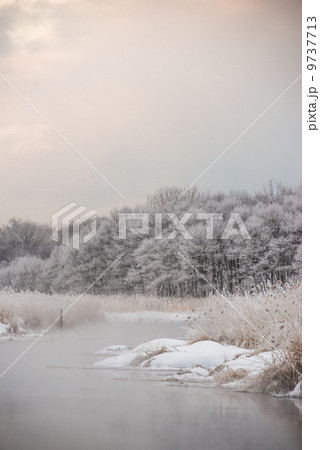 早朝の美々川2 早朝の美々川2 9737713