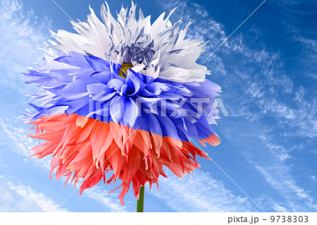 Flag of Russia 9738303