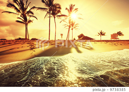 Tropical beach Tropical beach 9738385
