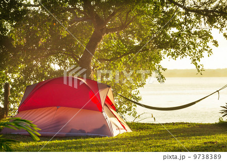 Tent in camping Tent in camping 9738389