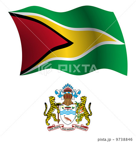 guyana wavy flag and coat 9738846
