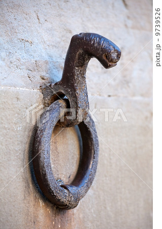 horses tether ring 9739526