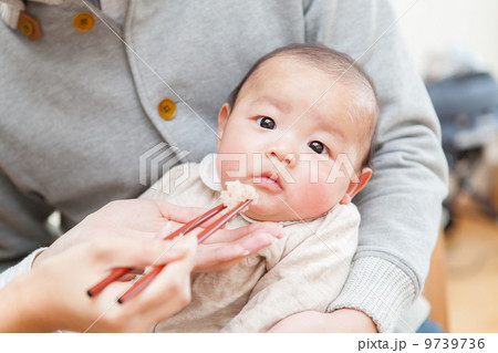 3 months old 3 months old 9739736