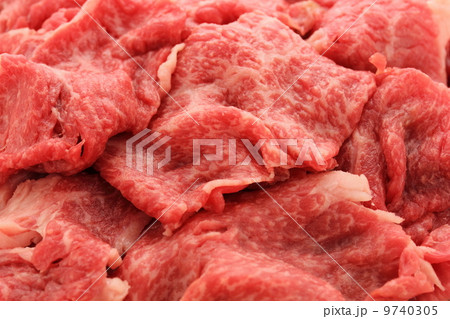 黒毛和牛 切り落とし 黒毛和牛 切り落とし 9740305