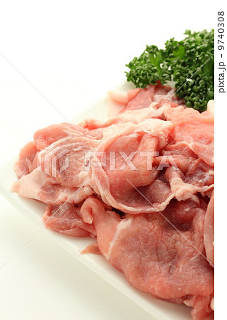豚肉 切り落とし 豚肉 切り落とし 9740308