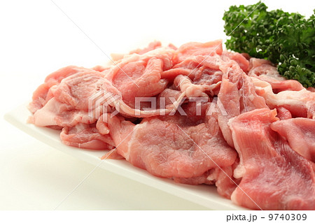 豚肉　切り落とし 9740309