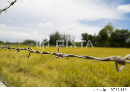 Barbwire 9741489