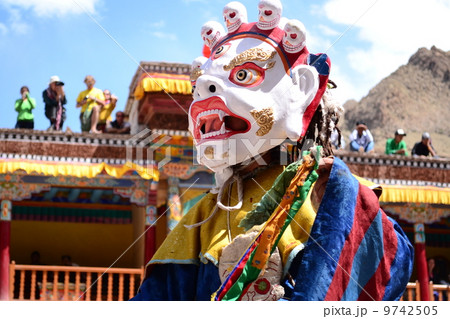 ヘミスチェチュ 9742505