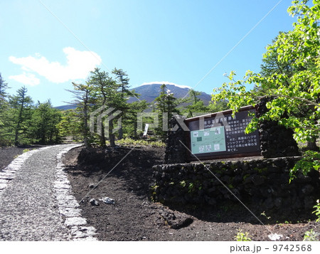 御中道　自然探勝路 9742568