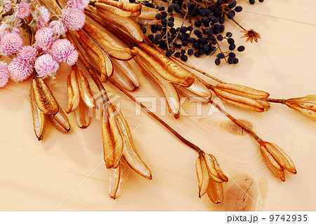 背景 背景 9742935