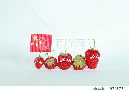 イチゴ いちご 苺 9743774