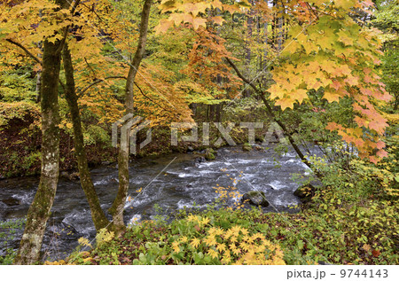 小川と紅葉 9744143