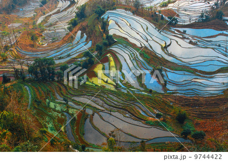 開国 投影 映写 9744422