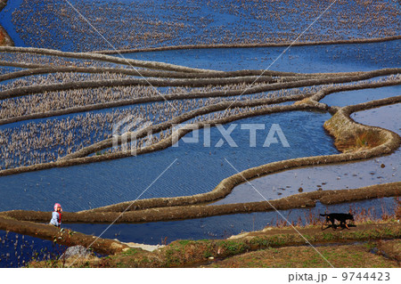 開国 田畑 フィールド 9744423