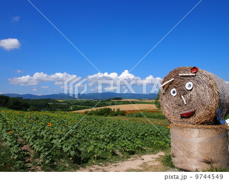 牧草ロールちゃん（美瑛） 9744549