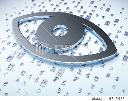 Security concept: Silver Eye on digital background 9745485