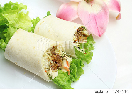 トルティーヤ 9745516