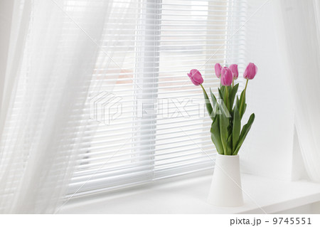 tulip in room 9745551