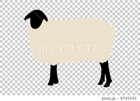 Sheep simple illustration Sheep simple illustration 9745593