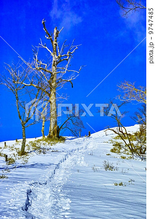 雪山と登山道 雪山と登山道 9747485