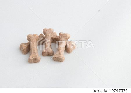 犬のおやつ 犬のおやつ 9747572