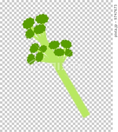 堅持西蘭花 9747673