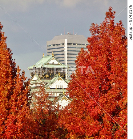 紅葉するプラタナスと大阪城の写真素材