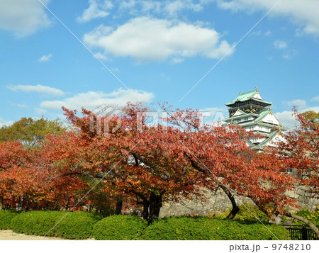 大阪城・西の丸庭園 9748210