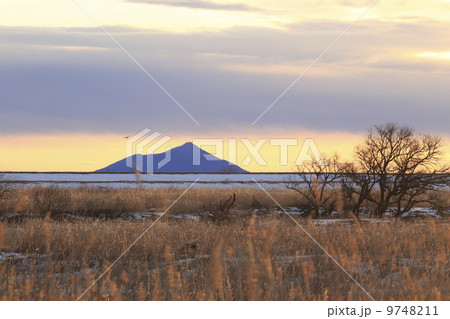 朝光の遊水地 朝光の遊水地 9748211