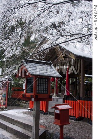 雪の野宮神社 9748743
