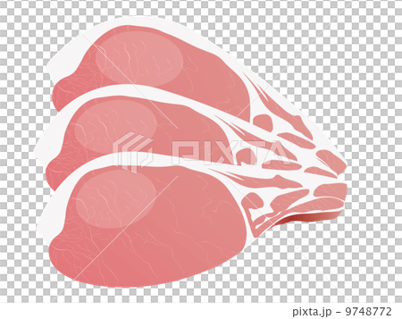 豚肉 9748772