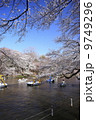 満開の桜と井の頭公園 満開の桜と井の頭公園 9749296