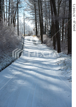 雪山の春 雪山の春 9749671