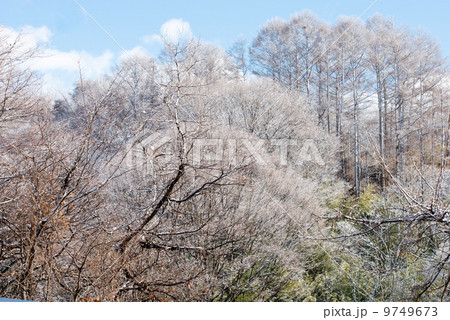 雪山の春 9749673