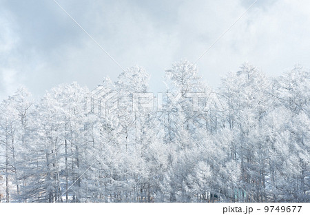雪山の春 雪山の春 9749677