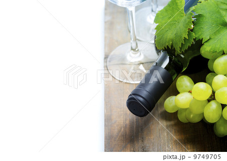 Wine and grape 9749705