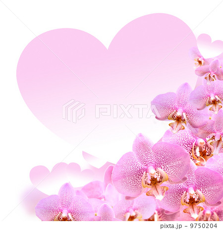Orchid And Heart 9750204